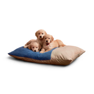 Dog Bedding
