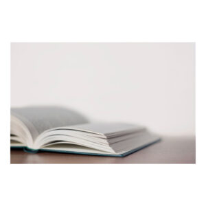 Books about Golden Retrievers